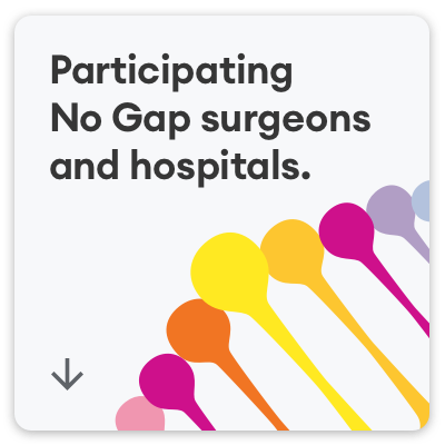 Participating No Gap surgeons and hospitals