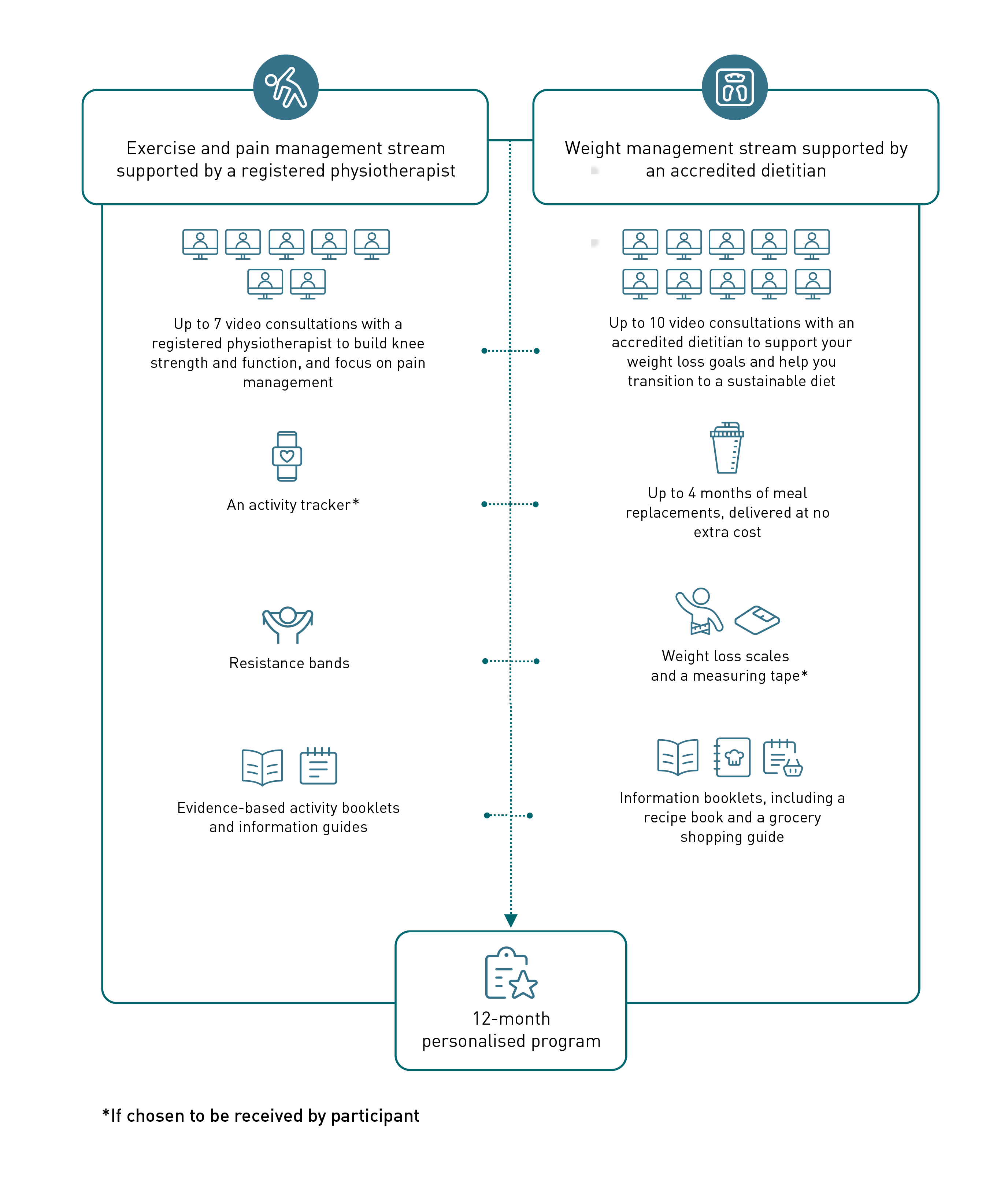 Program inforgraphic