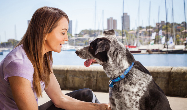 Medibank Private Pet Insurance Reviews Compare Insurance