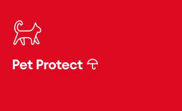 Pet Protect Pet Insurance