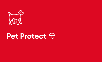 Pet Protect Pet Insurance