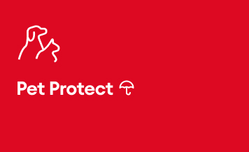 Pet Protect Pet Insurance